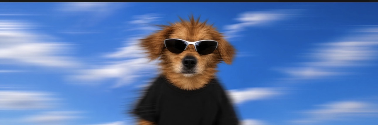 Wide motion-blurred shot of the MOVER dog mascot sprinting under a blue sky